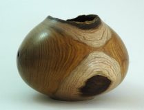 Laburnum Hollow Form